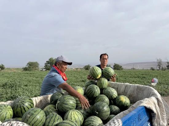 日喀则最新吃瓜,揭秘当地美食新潮流