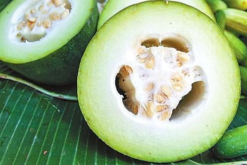 吃早瓜,健康生活新篇章