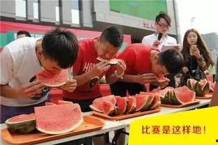 吃瓜售房部,揭秘房产市场的“瓜田”奇遇记