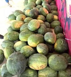 吃瓜售房部,揭秘房产市场的“瓜田”奇遇记