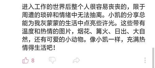 豆瓣吃瓜组名,揭秘娱乐圈幕后真相，带你领略娱乐界的酸甜苦辣