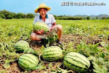 吃瓜200,揭秘娱乐圈背后的那些事儿