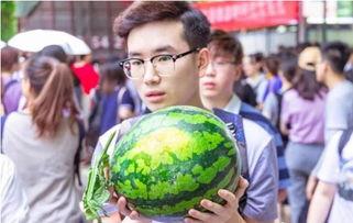 陝西吃瓜大學,揭秘校园里的独特文化现象