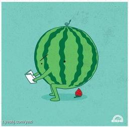 带瓜哥吃瓜,尽享舌尖上的盛宴