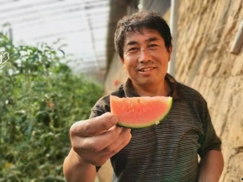 吃瓜群众林美美,揭秘吃瓜群众的趣味生活