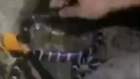 迪拜哥吃瓜,揭秘中东奢华生活背后的真实故事