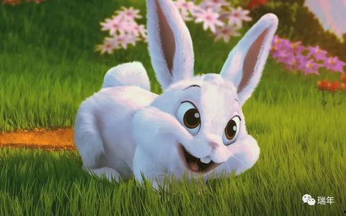 小兔圆盘吃瓜,小兔圆盘的奇妙瓜果之旅