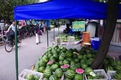 小马吃瓜摊大理,大理风情下的甜蜜邂逅