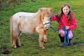 小马吃瓜摊大理,大理风情下的甜蜜邂逅