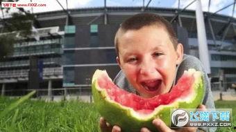 少年吃瓜图,揭秘校园里的“瓜田”趣事