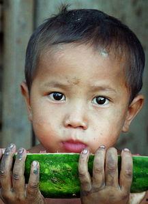 少年吃瓜图,揭秘校园里的“瓜田”趣事