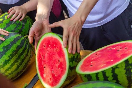 郑州高校吃瓜,校园吃瓜事件大盘点