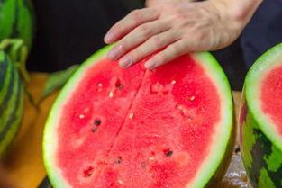 郑州高校吃瓜,校园吃瓜事件大盘点