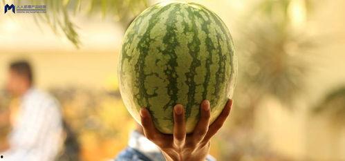 原神老登吃瓜,揭秘游戏圈幕后风云