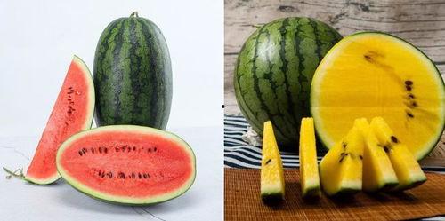 在线看吃瓜,跟随“吃瓜群众”一起围观娱乐圈风云