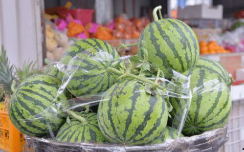 瑞丽大量吃瓜,揭秘海量瓜果背后的故事