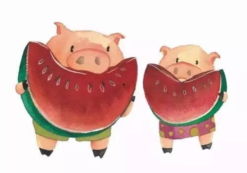 吃猪瓜视频,揭秘猪的生活与美食文化