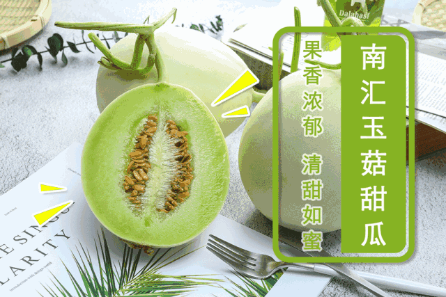 魔都阿姨吃瓜,揭秘都市生活百态