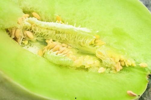 魔都阿姨吃瓜,揭秘都市生活百态