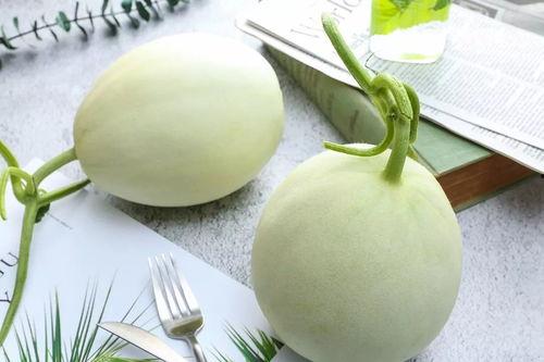 魔都阿姨吃瓜,揭秘都市生活百态