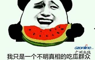 瓜哥吃瓜寻宝是真的吗,揭秘网络热传事件的真相与谜团