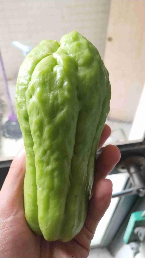 黄皮兔子瓜怎么吃,黄皮兔子瓜的多样食法探索