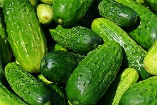 梦见别人给我田瓜吃,探寻心灵深处的寓意与启示