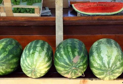 全国模特都在吃瓜,全国模特集体“吃瓜”，揭秘幕后风云