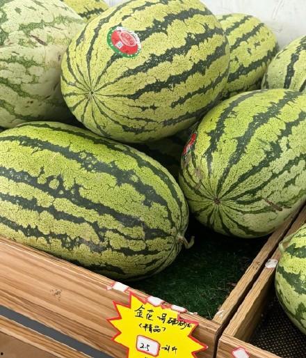 全国模特都在吃瓜,全国模特集体“吃瓜”，揭秘幕后风云