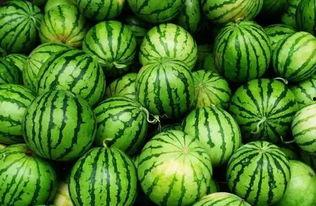 免费吃瓜的群,揭秘网络社交的狂欢盛宴