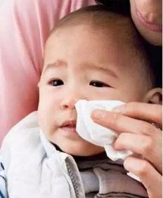 宝宝感冒吃瓜,巧用瓜果助力康复