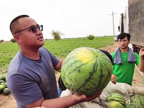 吃瓜热讯,揭秘娱乐圈最新八卦风云