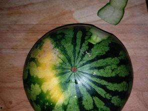 吃瓜解渴的画法,吃瓜图鉴，夏日消暑必备