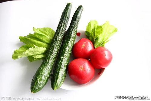 瓜仔菜可以吃吗,安全食用指南与营养分析