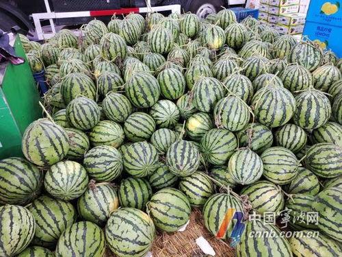 宁波中介吃瓜事件,一场引发行业热议的职场风波