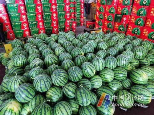 宁波中介吃瓜事件,一场引发行业热议的职场风波