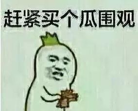 繁星相宋吃瓜群众,揭秘吃瓜群众的娱乐狂欢