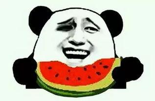 吃瓜借钱,揭秘网络借贷背后的真相