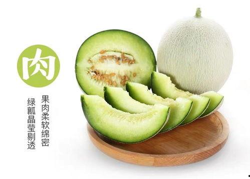 做梦吃很甜的小乳瓜,小乳瓜的奇幻之旅