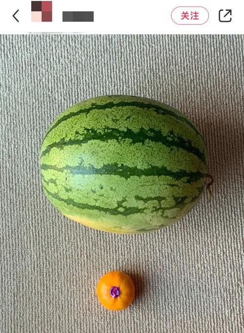 一起看吃瓜短视频全球吃瓜