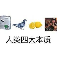 吃瓜天天搬家,跟随“天天搬家”的潮流，揭秘搬家背后的生活变迁