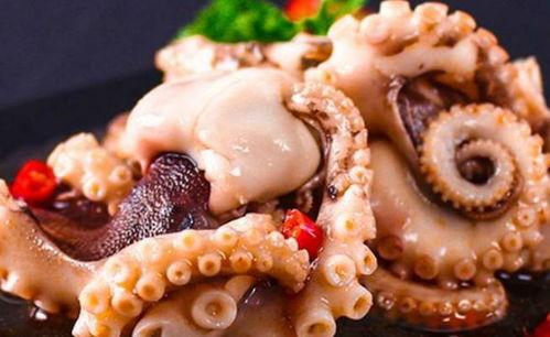 离谱吃瓜活章鱼,活章鱼带你领略海洋界的“疯狂美食”
