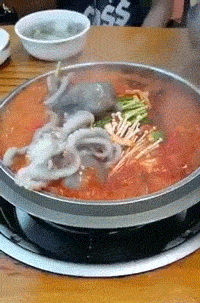 离谱吃瓜活章鱼,活章鱼带你领略海洋界的“疯狂美食”