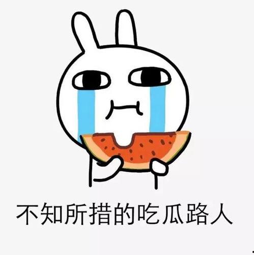 什么叫吃自己的瓜,揭秘“吃自己的瓜”的深层含义