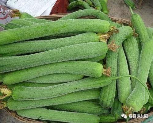 什么叫吃自己的瓜,揭秘“吃自己的瓜”的深层含义