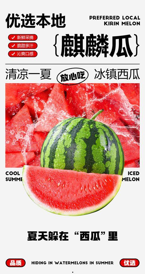 吃瓜活动照片 图文,吃瓜活动欢乐瞬间大盘点