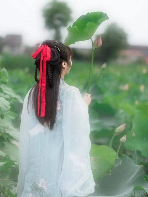 汉服荷塘吃瓜,一场别开生面的吃瓜盛宴