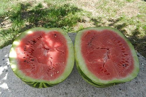 梦到吃别人给的瓜,揭秘吃别人给的瓜的神秘寓意