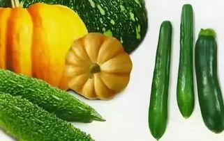 夏季就要这样吃瓜,夏季这样吃瓜，清凉一夏！