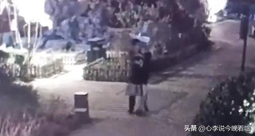 新沂吃瓜事件视频,一场网络热议的真相揭秘